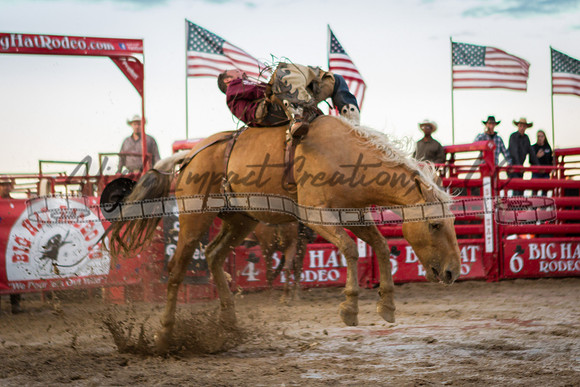 Elkhorn