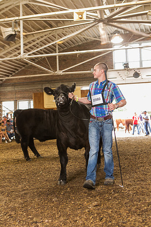 Photograph of Rock County 4-H Fair Taken 7-26-12