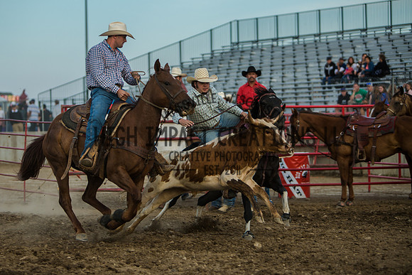 Big Hat Rodeo | Grayslake Rodeo | Lake County Fair