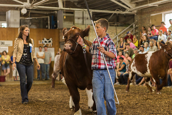 Photograph of Rock County 4-H Fair Taken 7-26-12