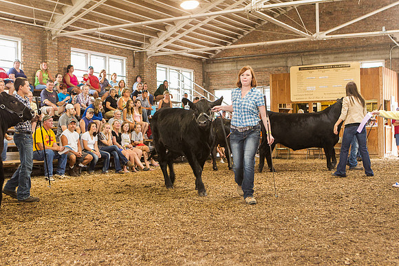 Photograph of Rock County 4-H Fair Taken 7-26-12