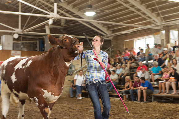 Photograph of Rock County 4-H Fair Taken 7-26-12