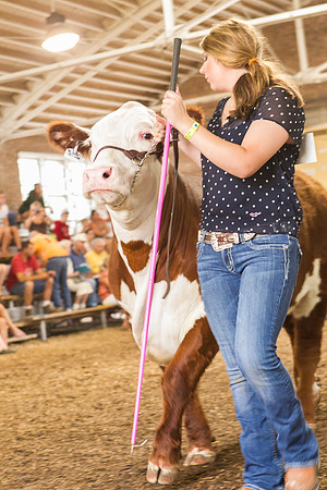 Photograph of Rock County 4-H Fair Taken 7-26-12
