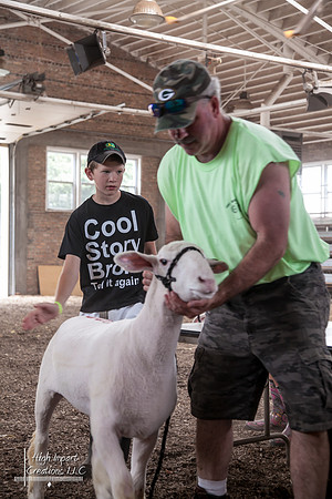 Janesville Photographers Rock County 4-H Fair Photographs