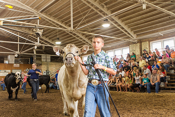 Photograph of Rock County 4-H Fair Taken 7-26-12