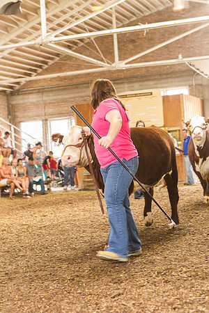 Photograph of Rock County 4-H Fair Taken 7-26-12