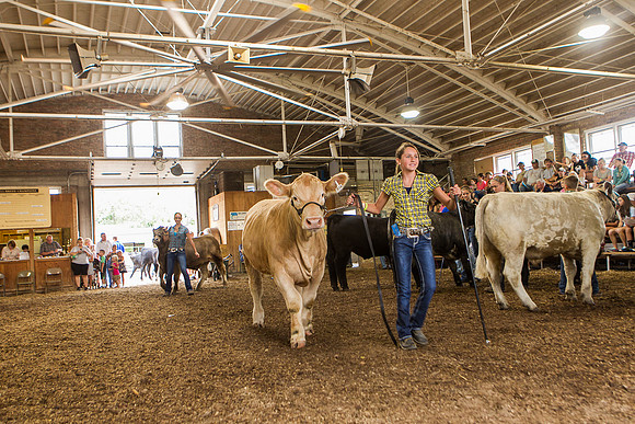 Photograph of Rock County 4-H Fair Taken 7-26-12