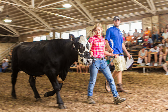 Photograph of Rock County 4-H Fair Taken 7-26-12