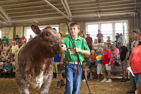 Photograph of Rock County 4-H Fair Taken 7-26-12