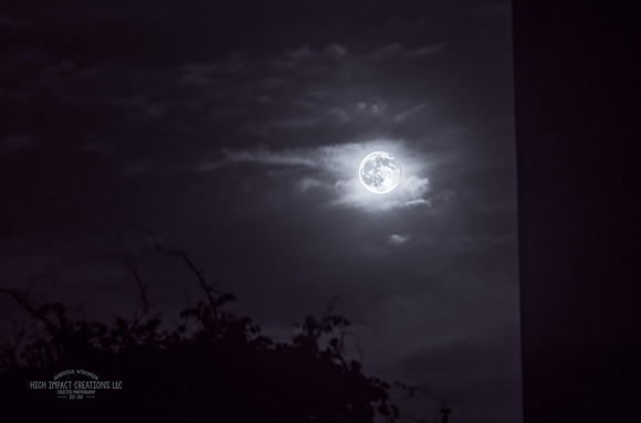 Picture a Day #138, 6-13-14