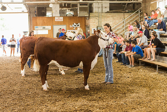 Photograph of Rock County 4-H Fair Taken 7-26-12