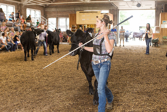 Photograph of Rock County 4-H Fair Taken 7-26-12