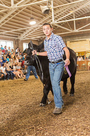 Photograph of Rock County 4-H Fair Taken 7-26-12