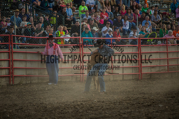 Big Hat Rodeo | Grayslake Rodeo | Lake County Fair