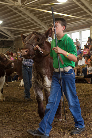 Photograph of Rock County 4-H Fair Taken 7-26-12