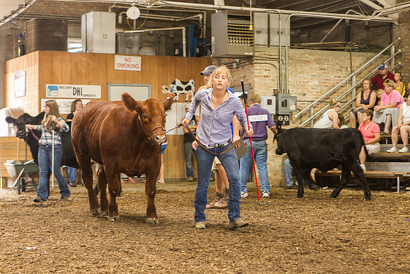 Photograph of Rock County 4-H Fair Taken 7-26-12