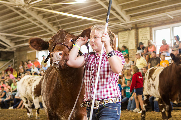 Photograph of Rock County 4-H Fair Taken 7-26-12