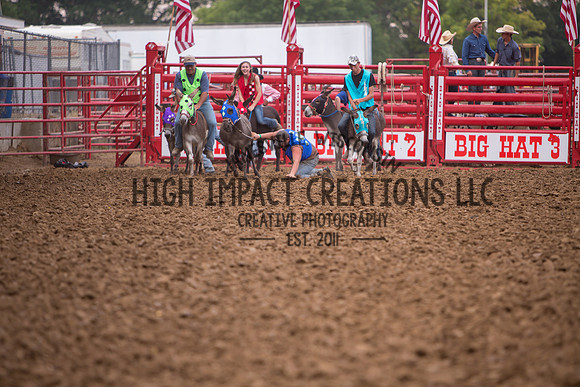 Ogle County Fair Rodeo | Big Hat Rodeo