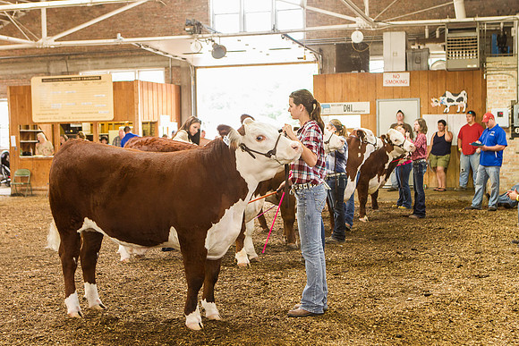 Photograph of Rock County 4-H Fair Taken 7-26-12