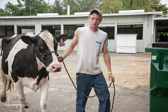 Janesville Photographers Rock County 4-H Fair Photographs