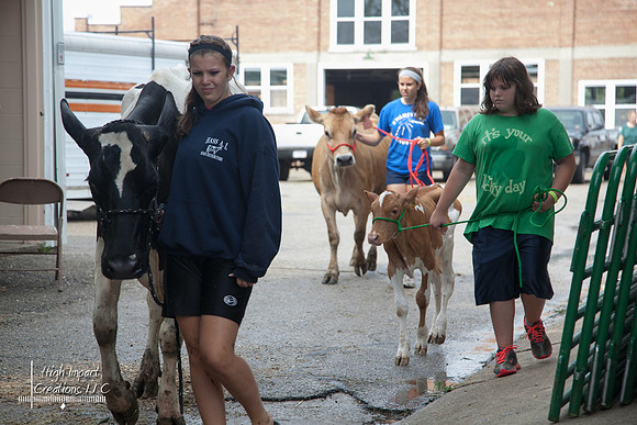Janesville Photographers Rock County 4-H Fair Photographs