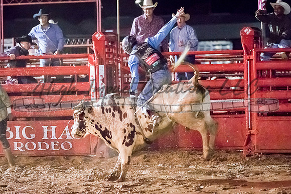 Elkhorn