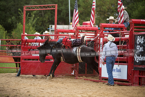 Big Hat Rodeo | Rockford 8-22-14