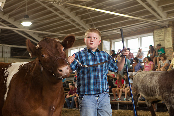 Photograph of Rock County 4-H Fair Taken 7-26-12
