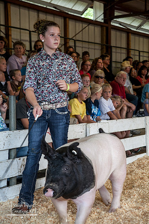 Janesville Photographers Rock County 4-H Fair Photographs