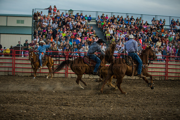 Big Hat Rodeo | Grayslake Rodeo | Lake County Fair