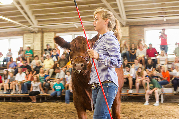 Photograph of Rock County 4-H Fair Taken 7-26-12