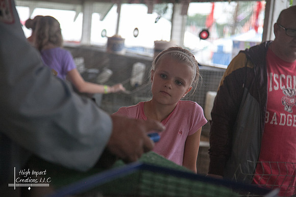 Janesville Photographers Rock County 4-H Fair Photographs