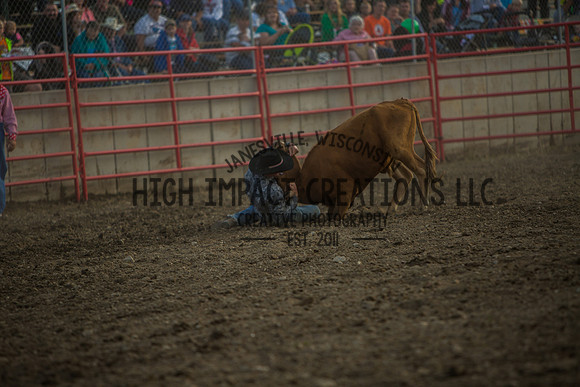 Big Hat Rodeo | Grayslake Rodeo | Lake County Fair