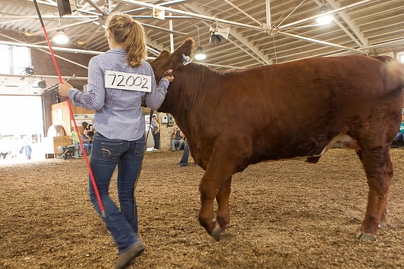 Photograph of Rock County 4-H Fair Taken 7-26-12