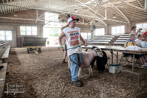 Janesville Photographers Rock County 4-H Fair Photographs