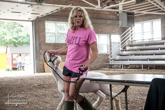 Janesville Photographers Rock County 4-H Fair Photographs