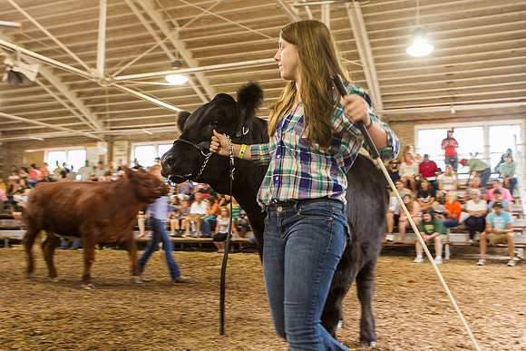 Photograph of Rock County 4-H Fair Taken 7-26-12