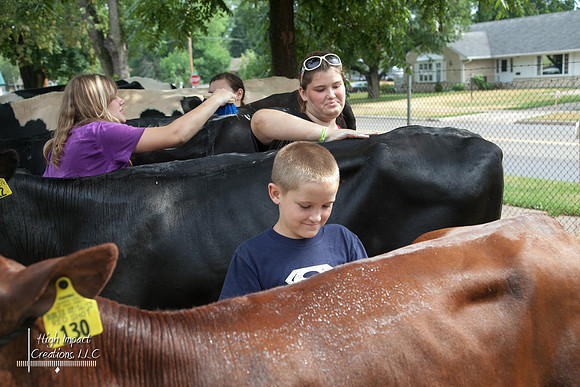 Janesville Photographers Rock County 4-H Fair Photographs