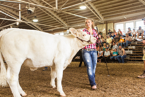 Photograph of Rock County 4-H Fair Taken 7-26-12