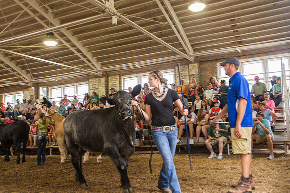 Photograph of Rock County 4-H Fair Taken 7-26-12