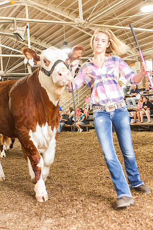 Photograph of Rock County 4-H Fair Taken 7-26-12