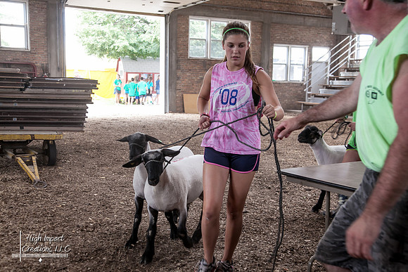 Janesville Photographers Rock County 4-H Fair Photographs