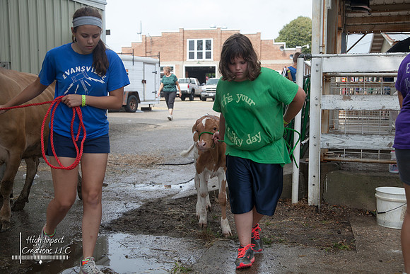 Janesville Photographers Rock County 4-H Fair Photographs