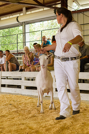 Photograph of Rock County 4-H Fair Taken 7-26-12