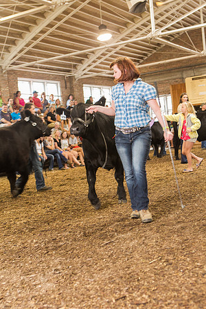 Photograph of Rock County 4-H Fair Taken 7-26-12