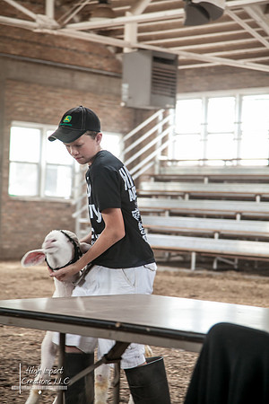 Janesville Photographers Rock County 4-H Fair Photographs