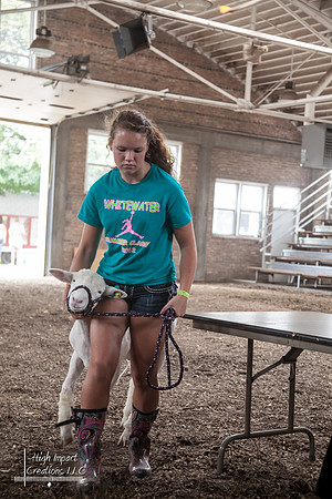 Janesville Photographers Rock County 4-H Fair Photographs