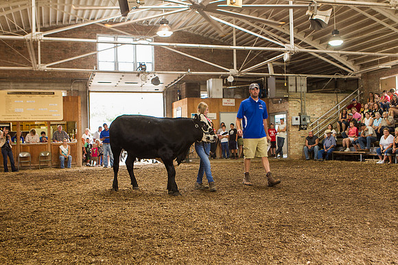 Photograph of Rock County 4-H Fair Taken 7-26-12