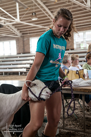 Janesville Photographers Rock County 4-H Fair Photographs