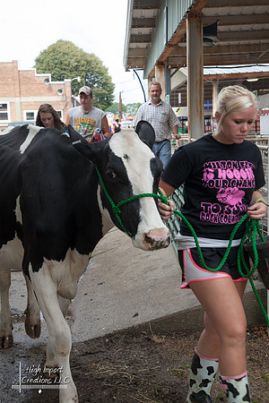 Janesville Photographers Rock County 4-H Fair Photographs